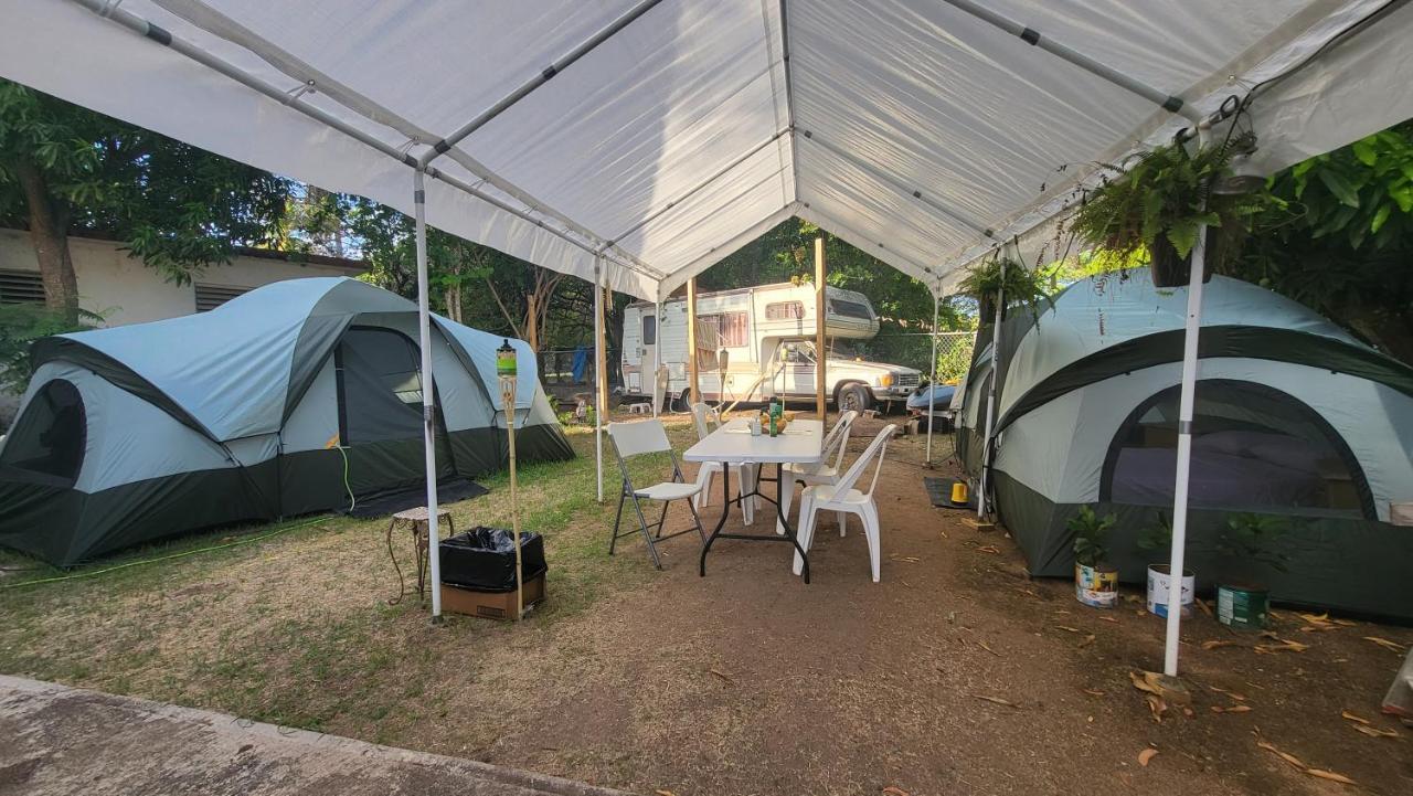 5 Minutes Walk Bio-Bay Stations-Restaurants - Beaches 212 Cll Acacia Rv Camper In Front Vieques Exteriér fotografie